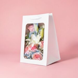 BOLSA VENTANA  (PAQUETE X10)