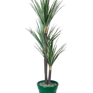 ARBOL GRANDE 1,6MT REF:1176