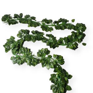 ENREDADERA HOJA PEQUEÑA PAQUETE X12