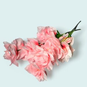 ROSAS