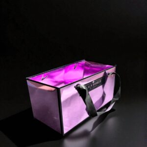 BOLSA MANIJA ESPEJO LARGA P23-14