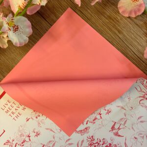 PAPEL ENVOLTURA COREANO PAQUETE X20 23482-43