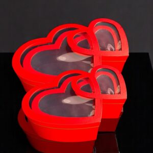 CAJAS RIGIDAS SET X 2 REF W31