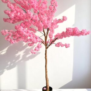 ARBOLES Y PLANTAS GRANDES