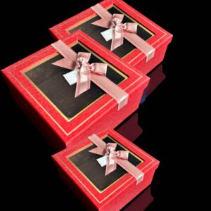 CAJA RIGIDA SET X 3 25-CRQ13