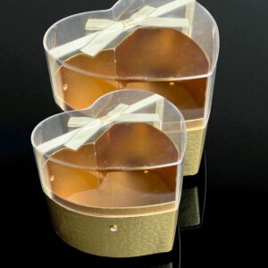 CAJA ACRILICO 18X16X14 25-CRAC5 SET X 2