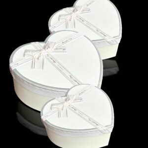 CAJA RIGIDA 25-CRC4 SET X 3
