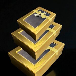 CAJA RIGIDA GRANDE 25-CRRG11 SET X 3