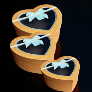 CAJA RIGIDA 25-CRC1 SET X3
