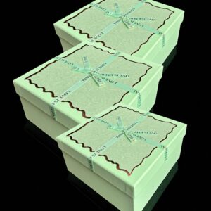 CAJA RIGIDA 2-CRQ12 SET X 3