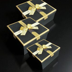 CAJA RIGIDA 25-CRQ14 SET X 3