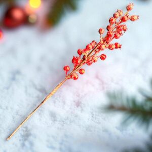 PICK CHERRY 25 - 224
