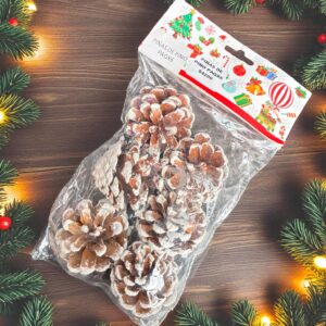 PIÑAS DE PINO X 6