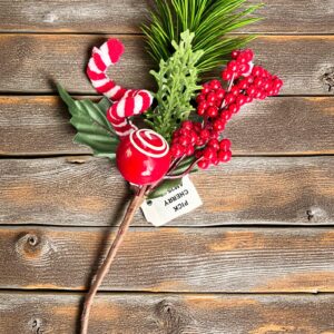 PICK CHERRY AM2547