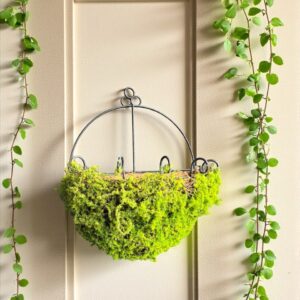 MATERA PARED CON MUSGO X014-2
