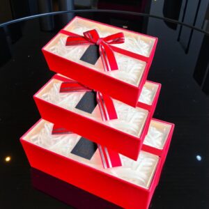 CAJA ACRILICA SET X 3 22.5X16X10  395-56