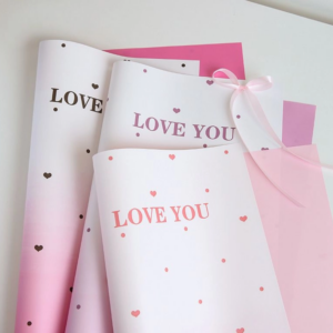 PAPEL ENVOLTURA COREANO PAQUETE X20 23482-81