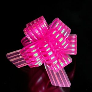 MOÑO POMPOM ORGANZA #10